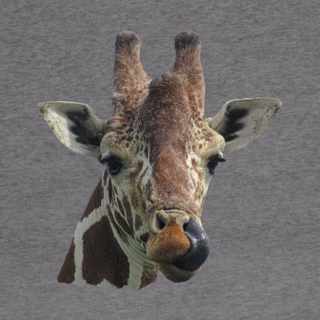 Funny Giraffe - Africa by T-SHIRTS UND MEHR